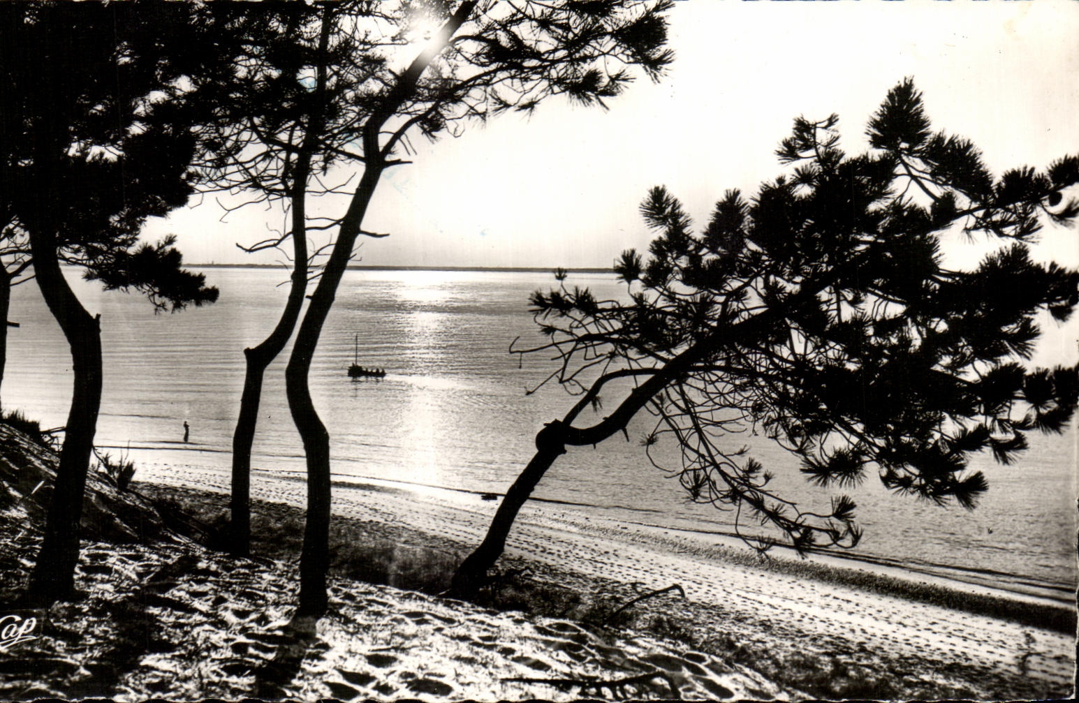 CPA Bassin D'Arcachon Coucher de Soleil