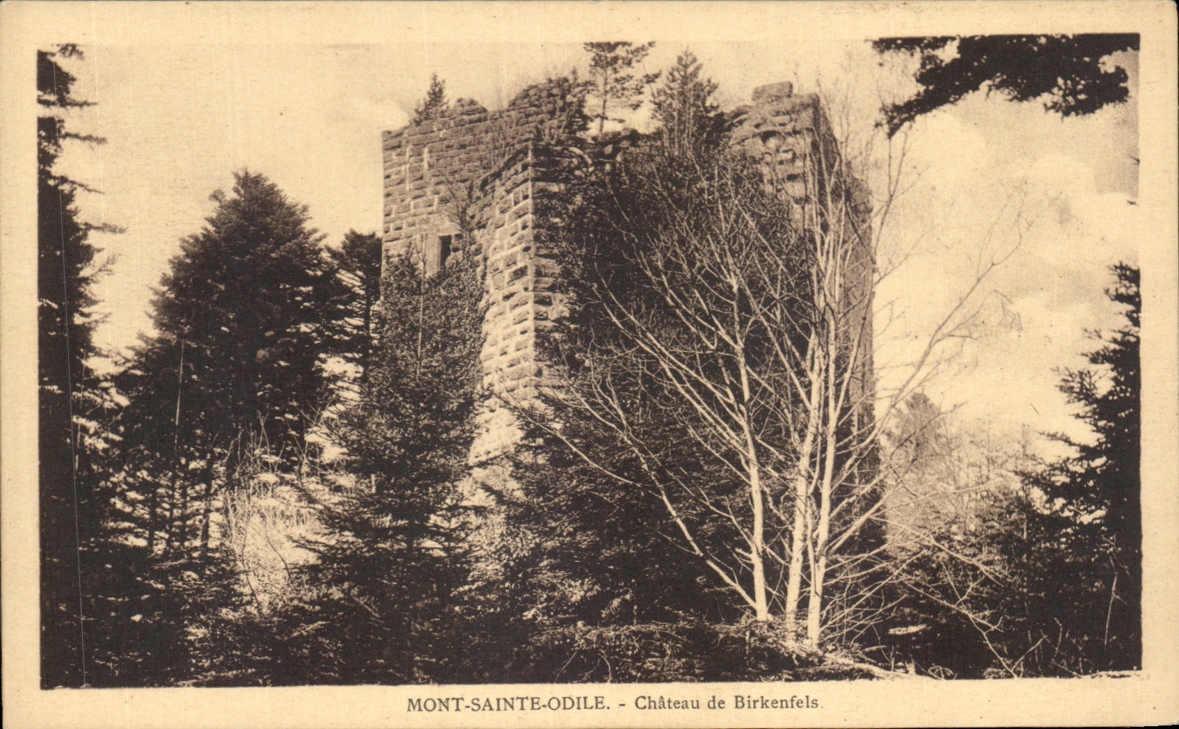 CPA Mont Sainte Odile Chateau de Birkenfels