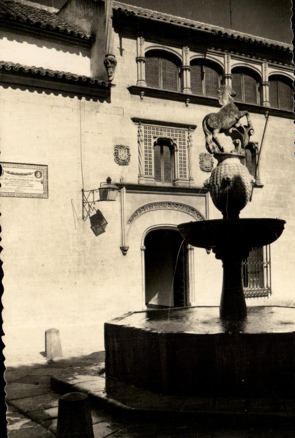 CPA Cordoba Fuente del Potro Cheval