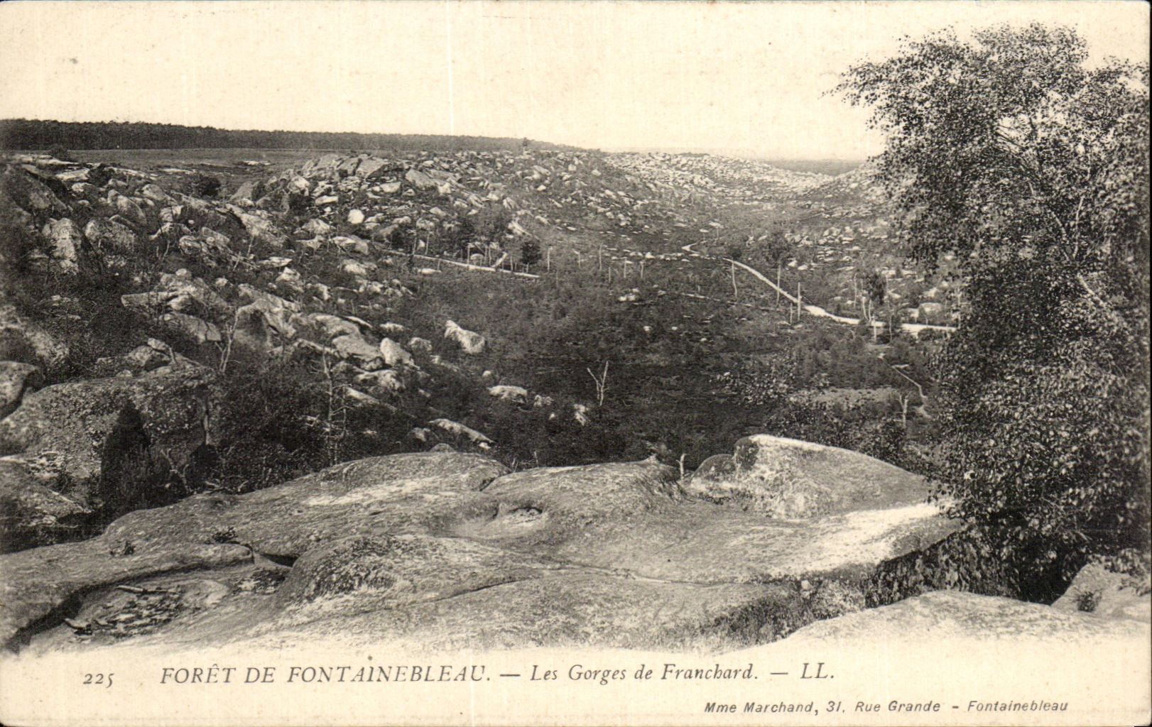 CPA Foret De Fontainebleau Les Gorges de Franchard