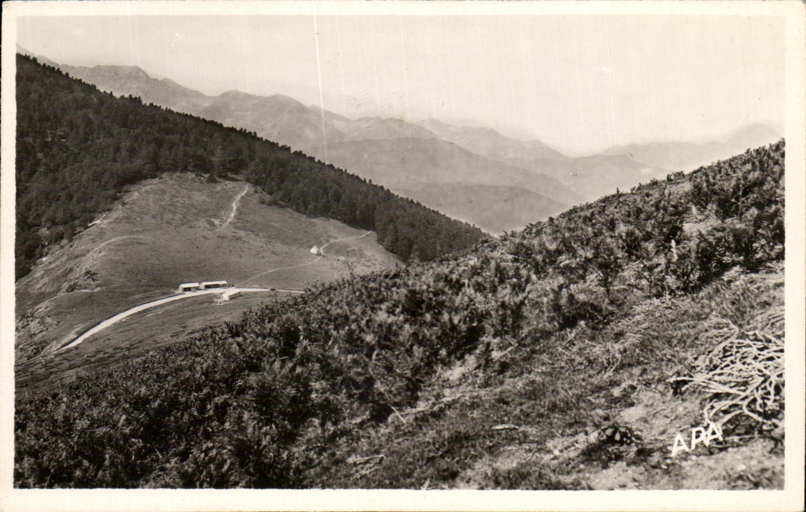 CPA the Collar of Aspin