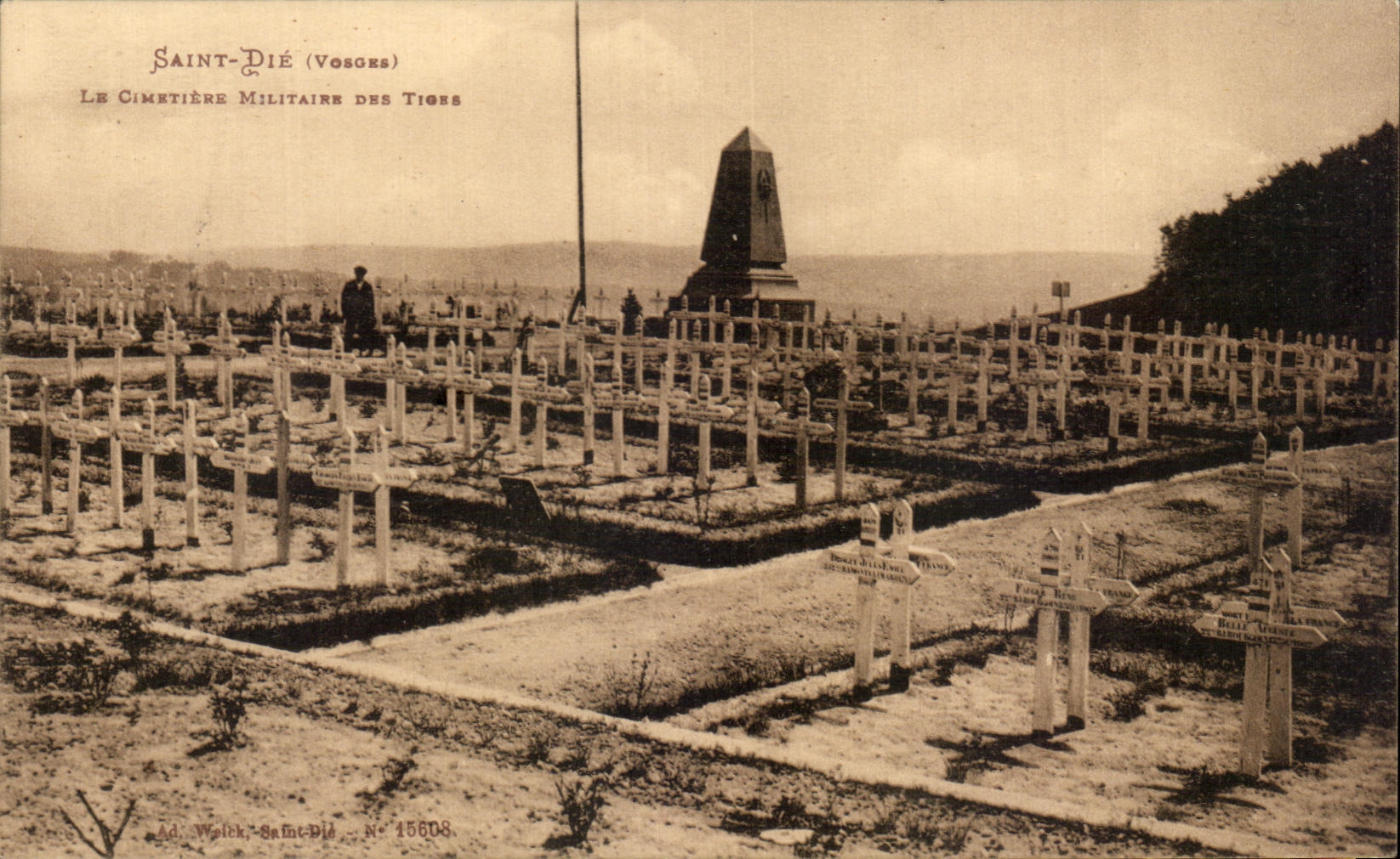 CPA Saint Die the Military Cemetery Of the Militaria Stems