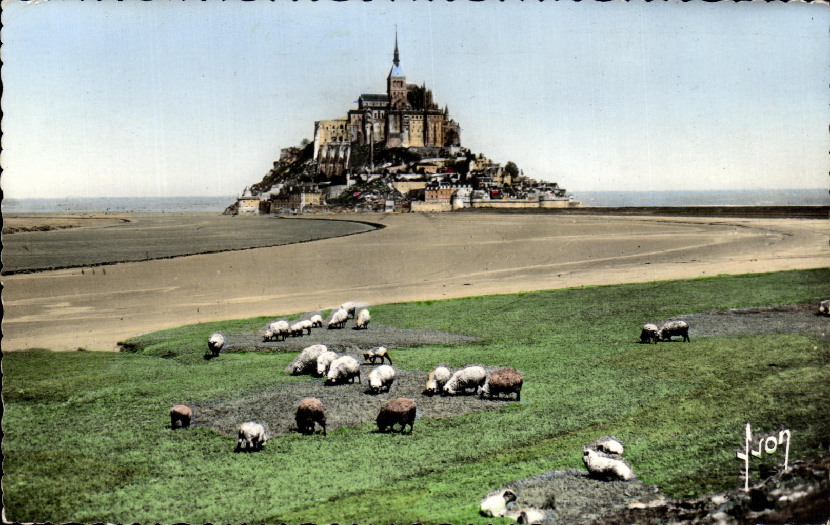 CPA Le Mont Saint Michel Les Moutons