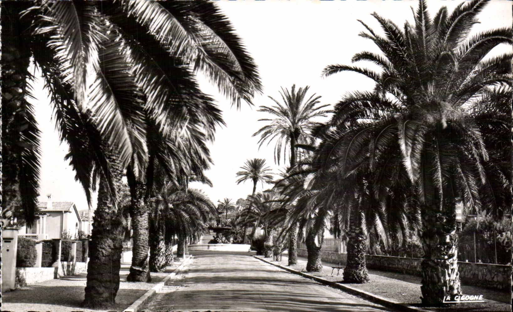 CPA Hyeres L'Avenue Godillot