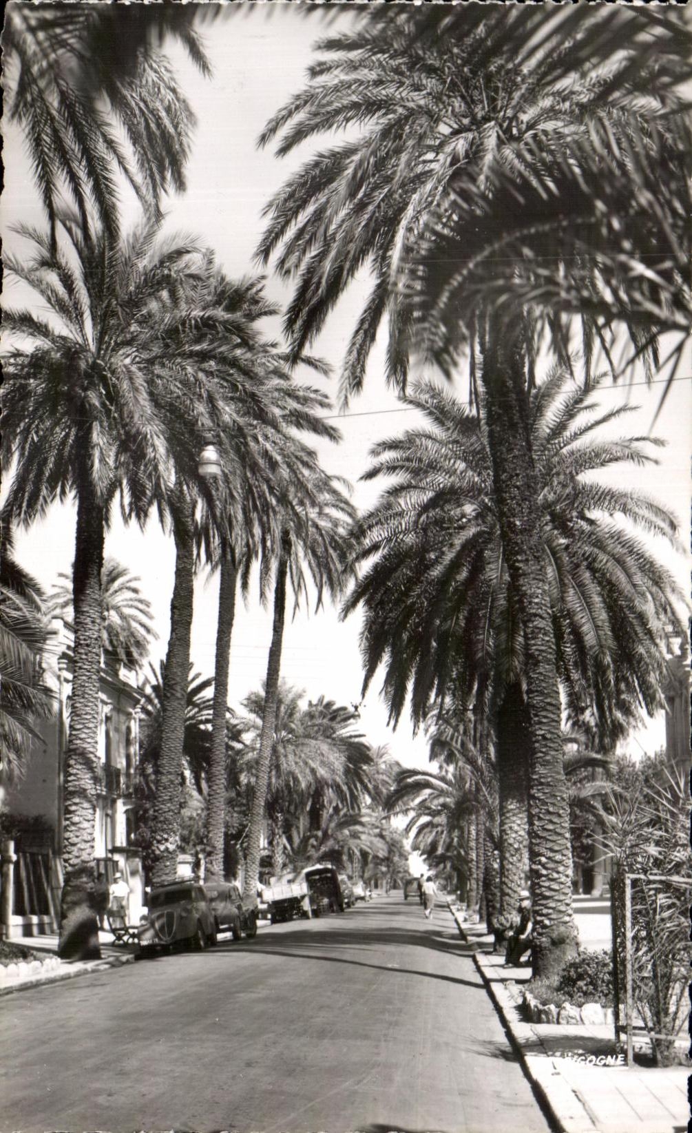 CPA Hyeres Avenue de Belgique