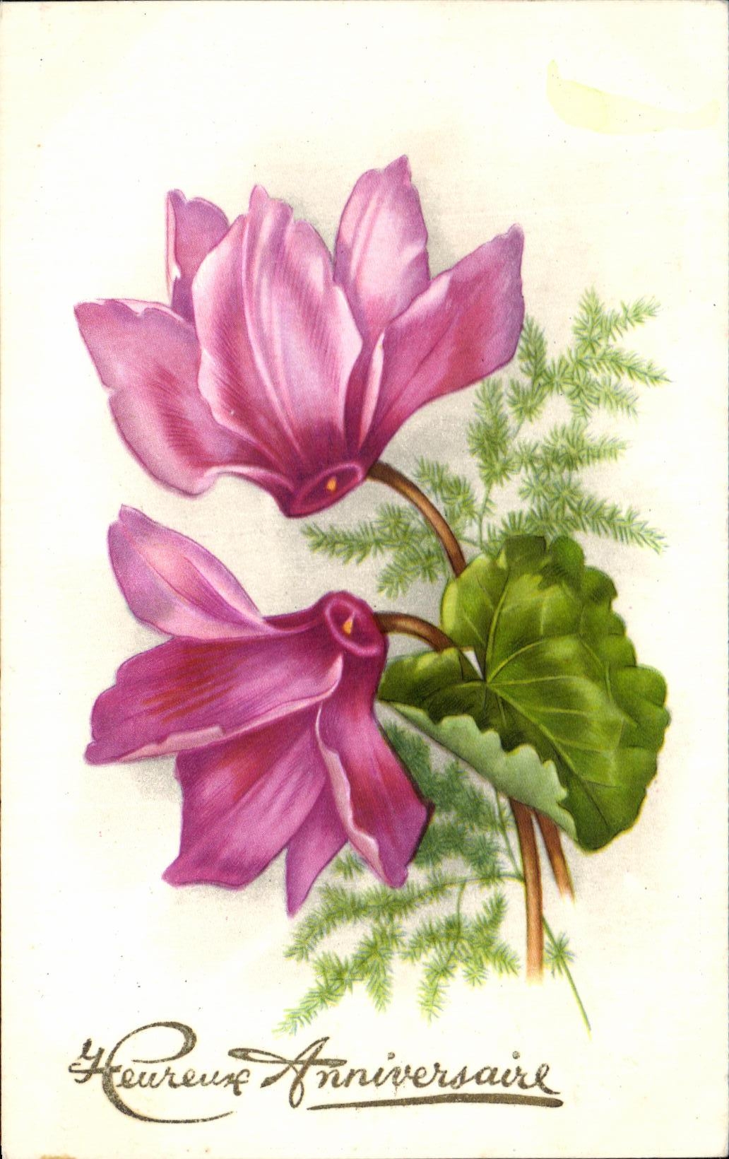 CPA Fantaisie Fleurs Heureure Anniversaire