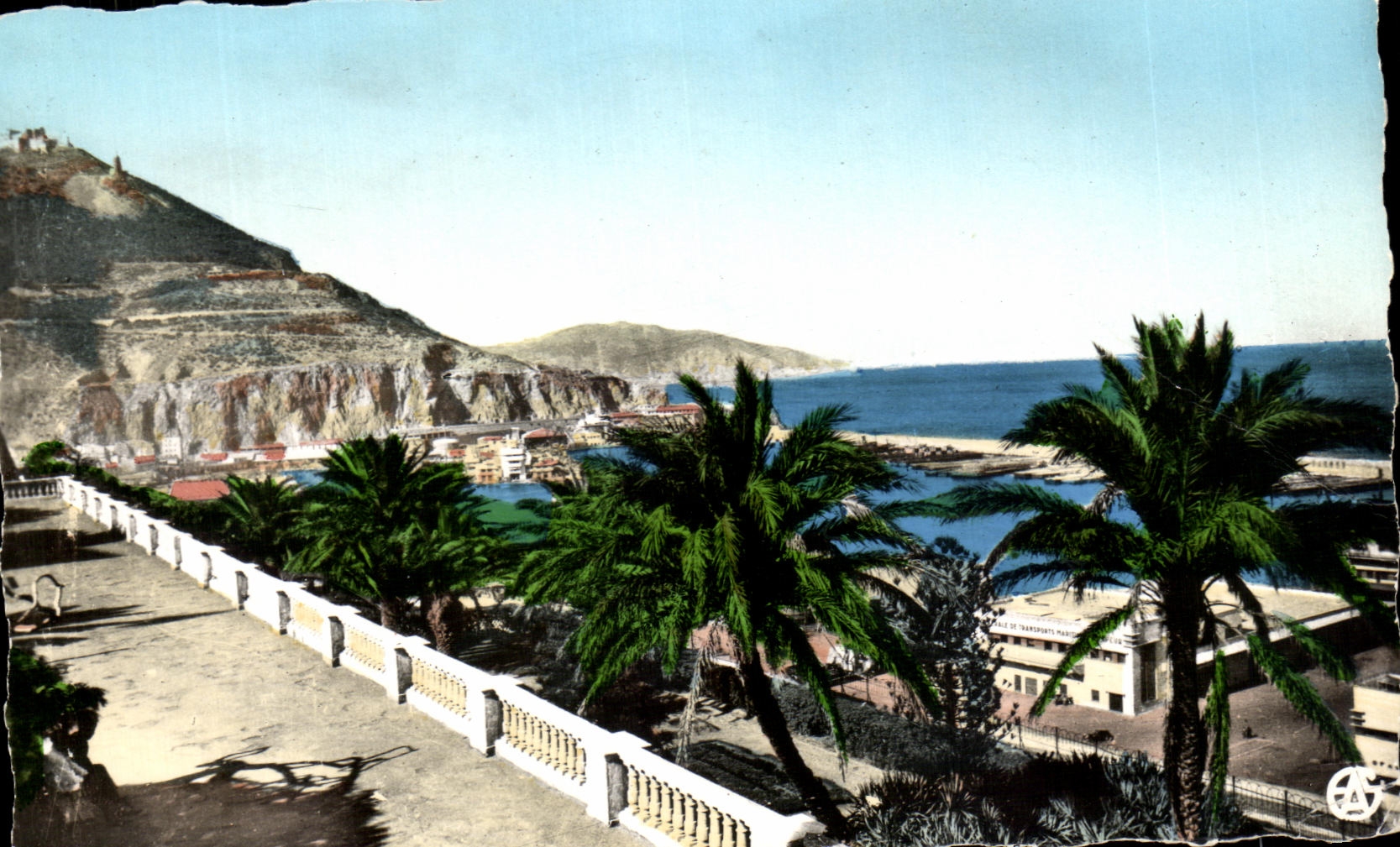 CPA Oran the Walk Letang Algeria