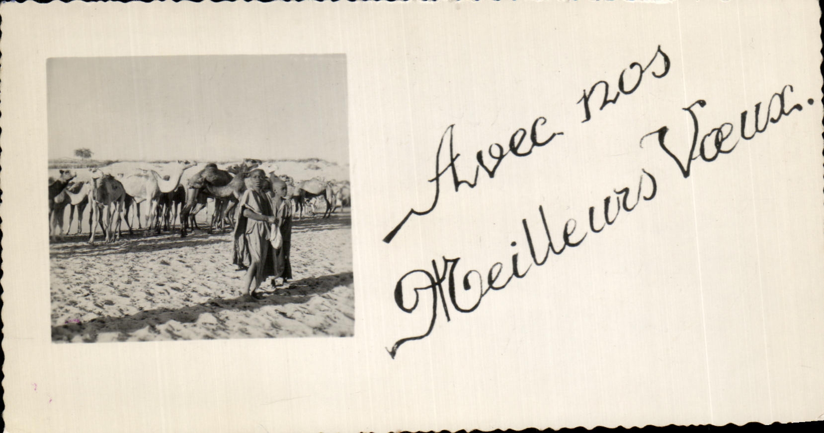 CPA con nuestros camellos de recuerdos