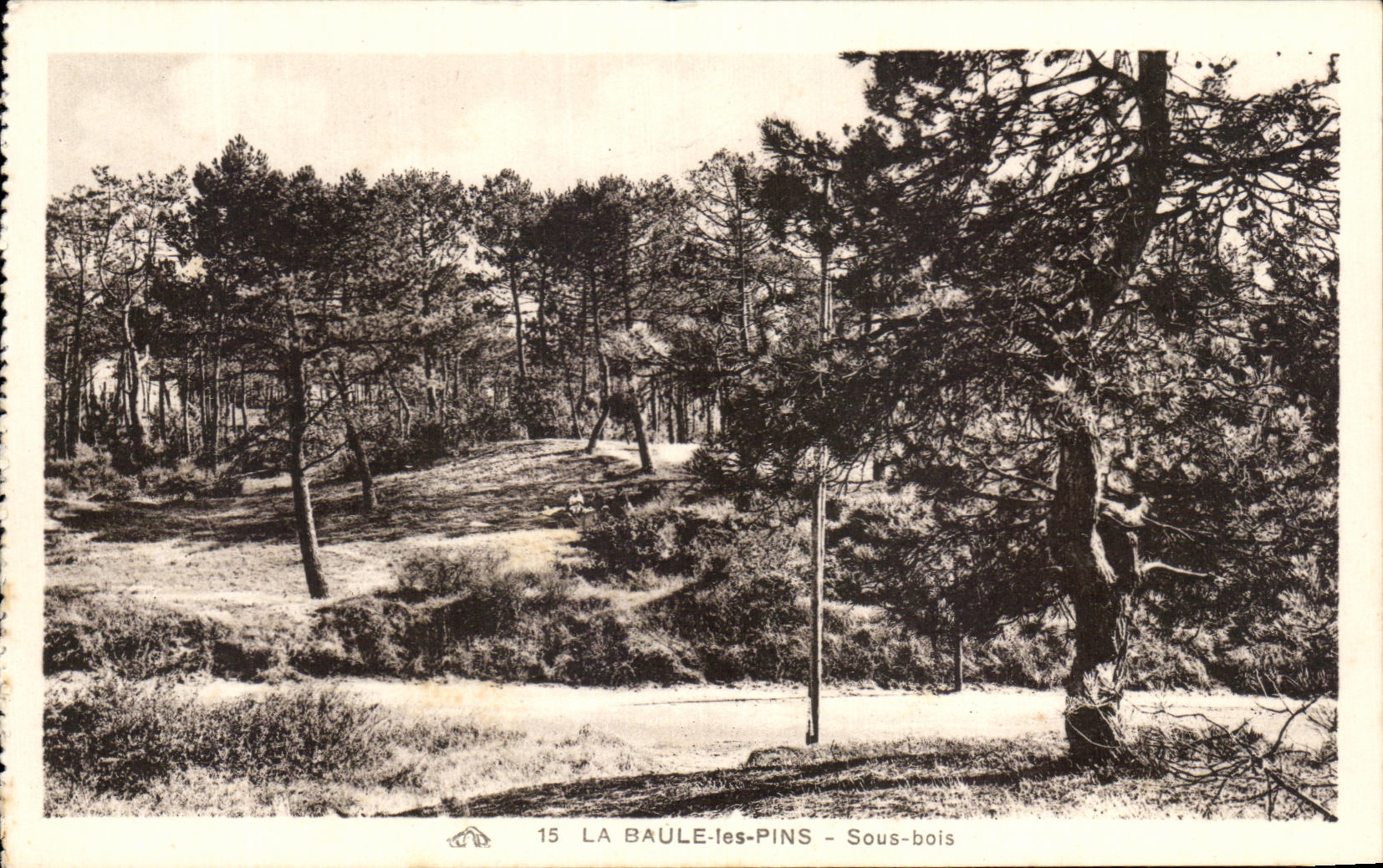 CPA los pinos del baule debajo de la madera