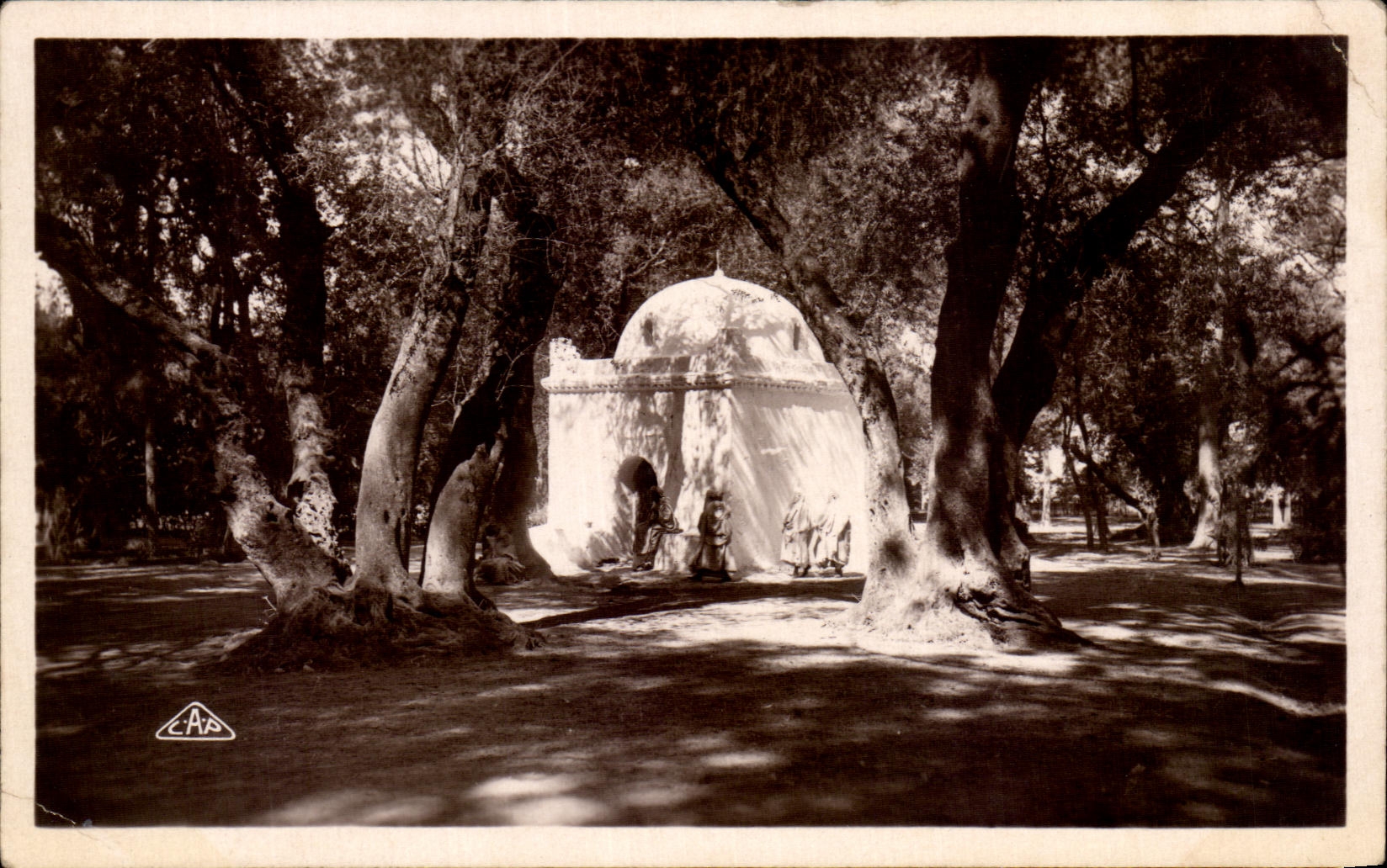 CPA Blida Marabout au Boi Sacre Algerie