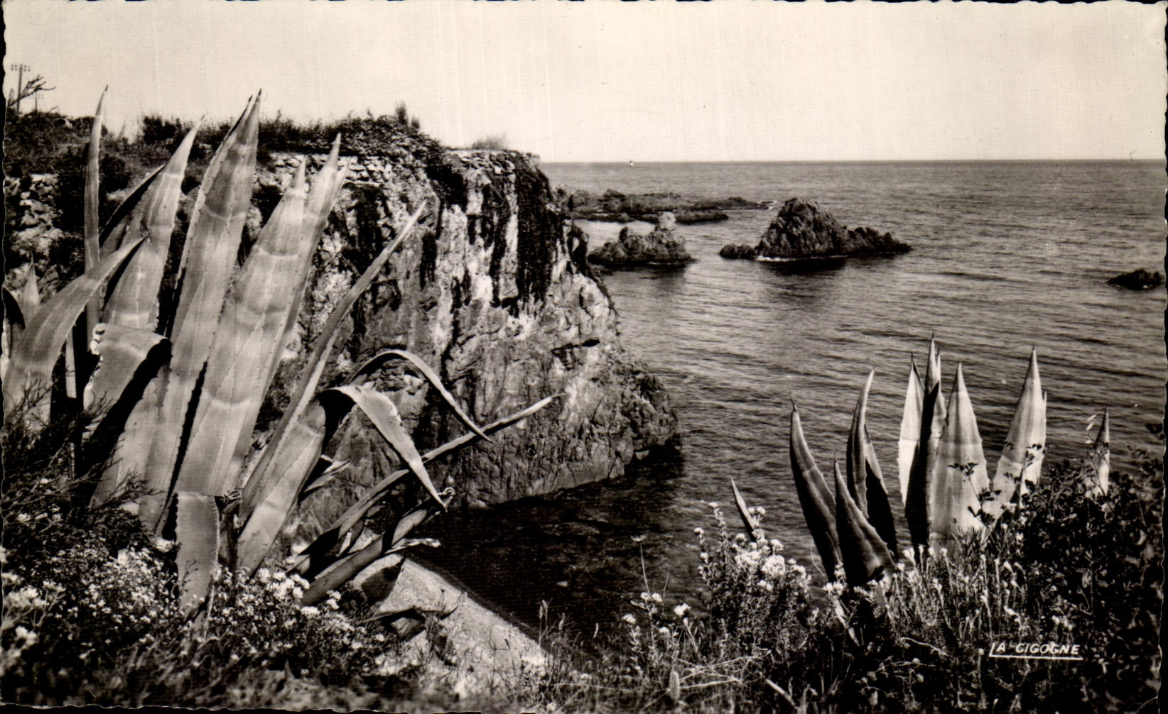 CPA La Corniche D'or Les Rochers Rouges