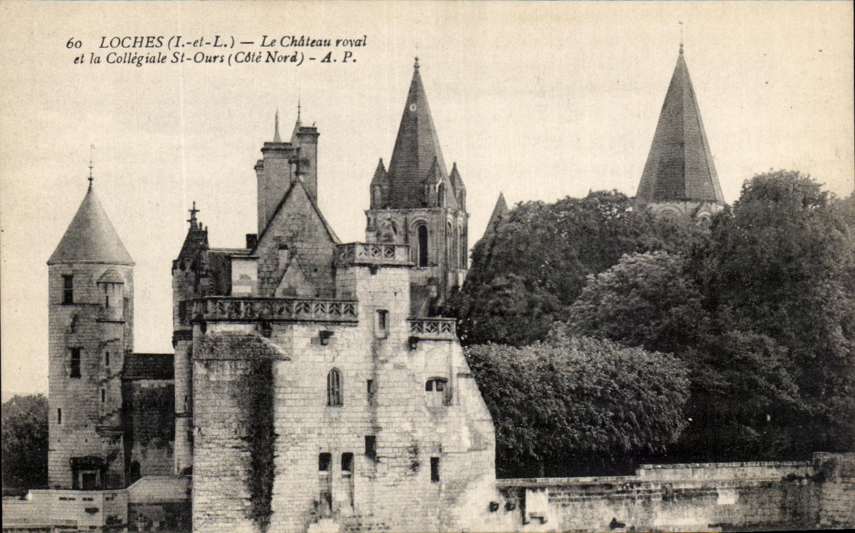 CPA Loches Le Chateau Royal et la Collegiale