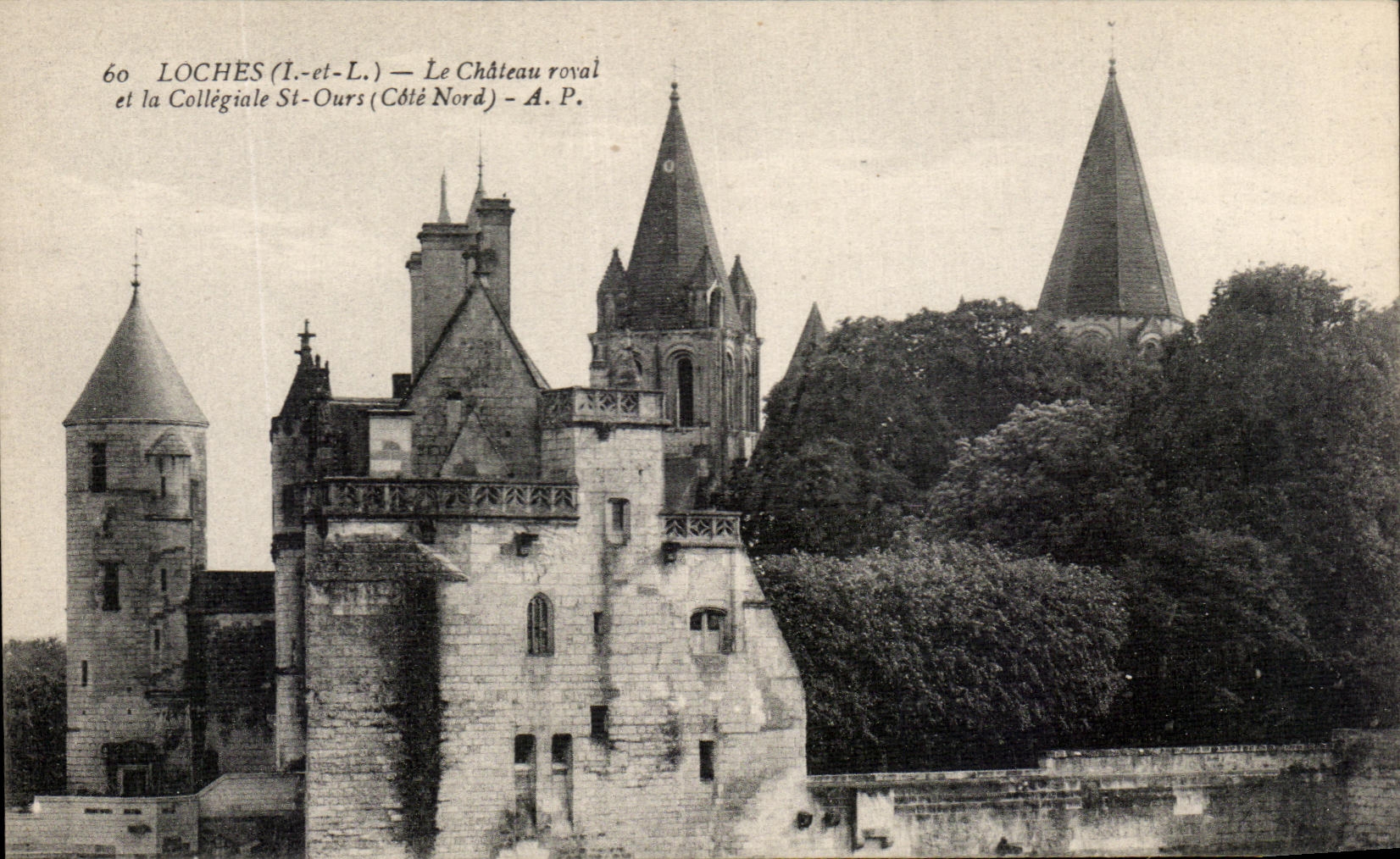 CPA Loches Le Chateau Royal et La Collegiale St Ours