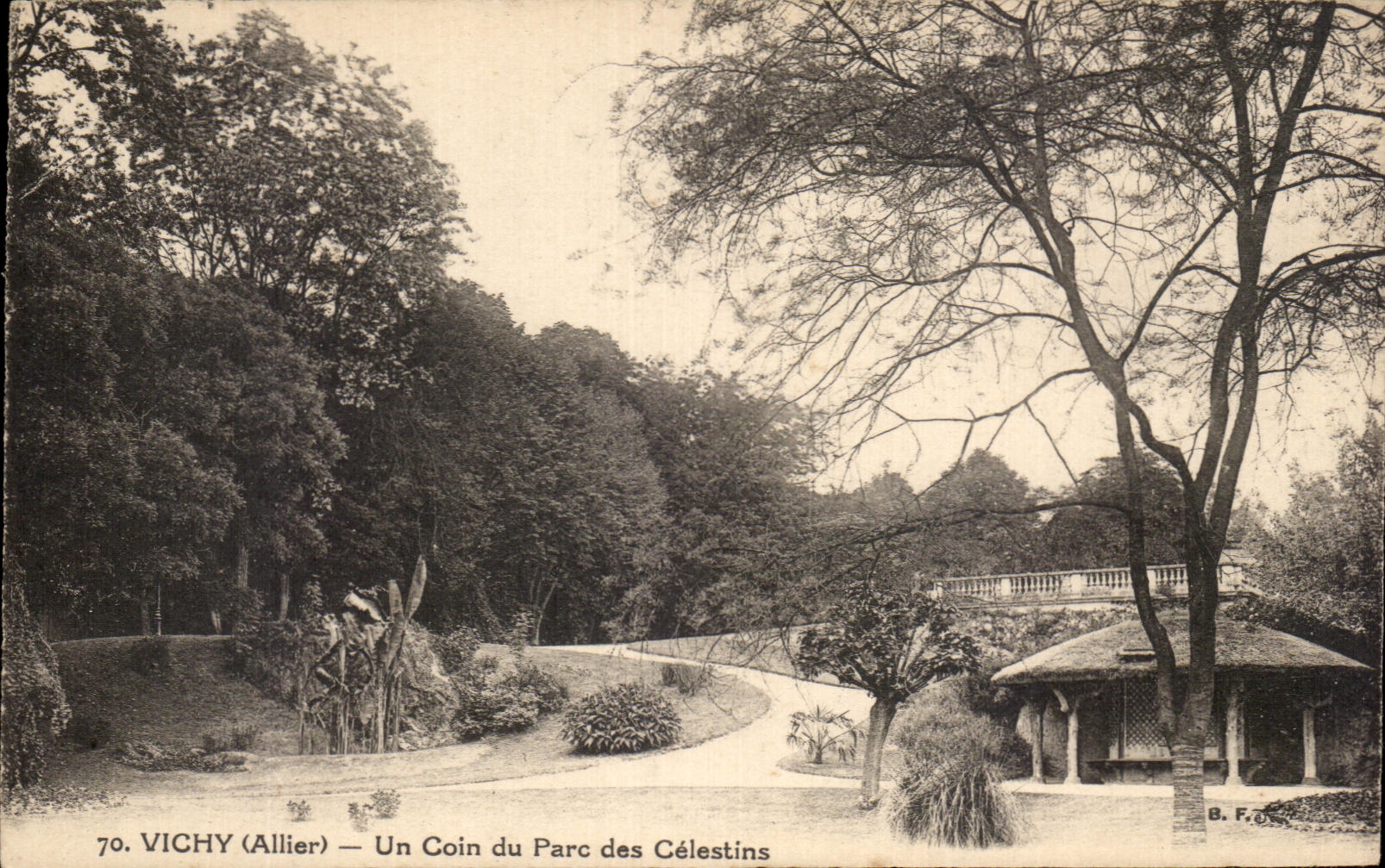 CPA Vichy a Corner of the Park of Celestins