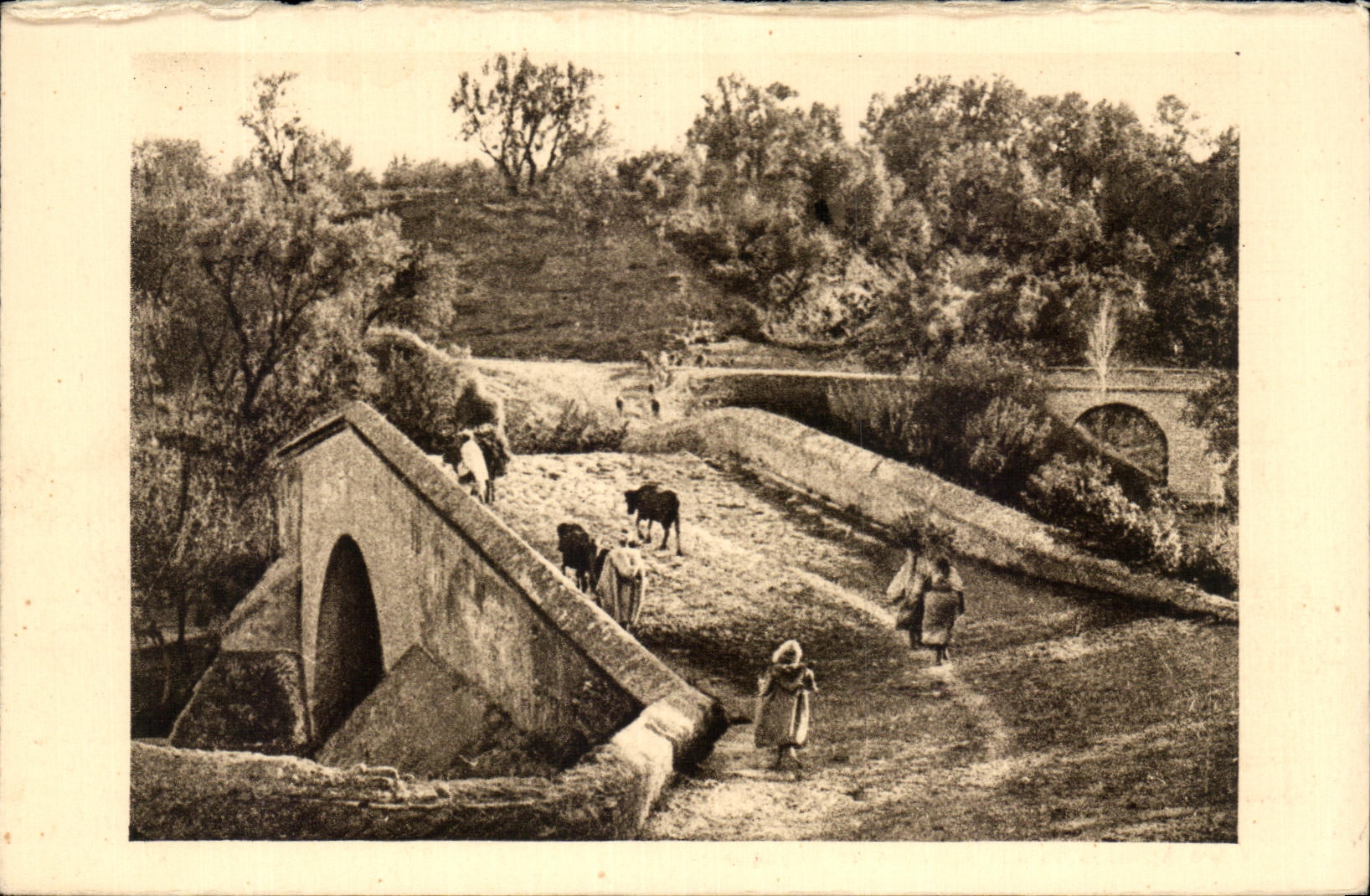 CPA Morocco Portuguese Bridge Transatlantic General Company