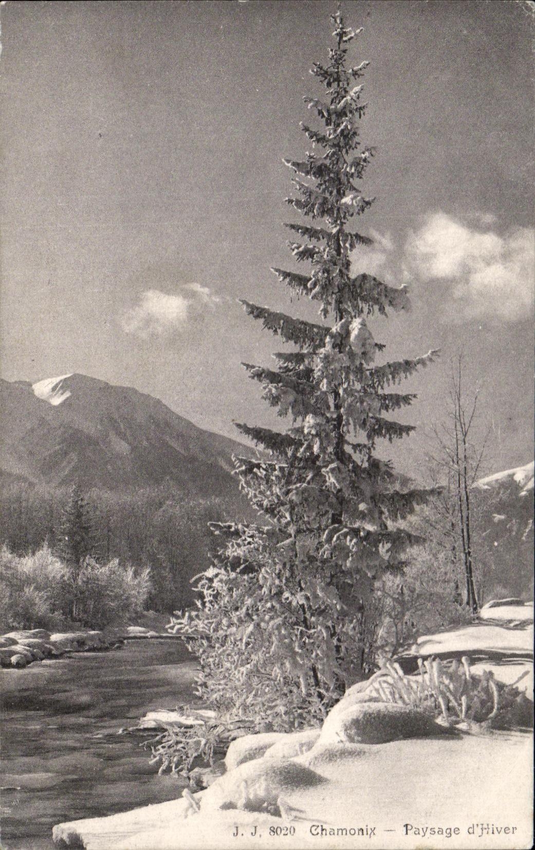 CPA Chamonix Paysage d'Hiver