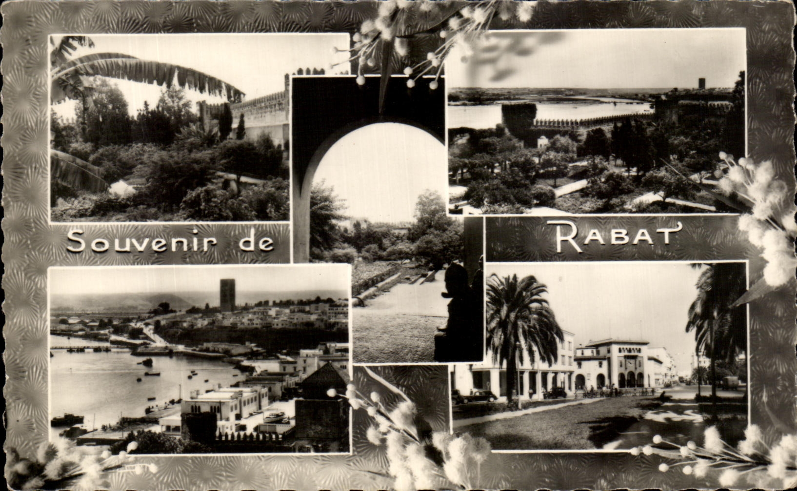 CPA Souvenir de Rabat Maroc 