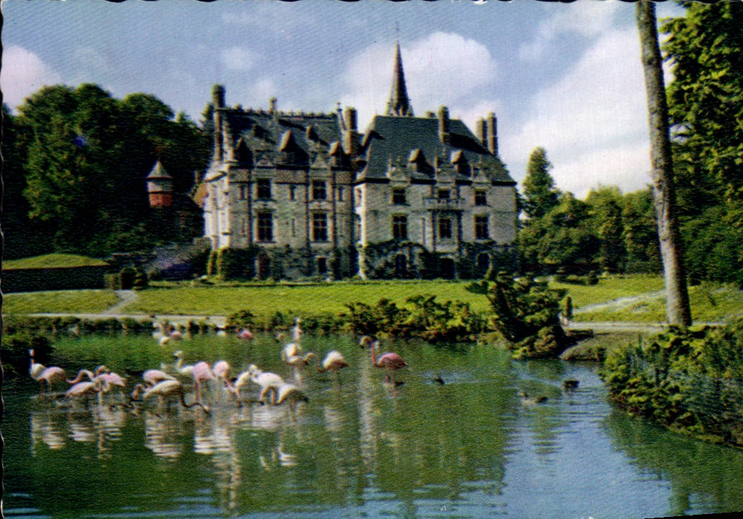 CPSM Park Zologique De Cleres the Castle And the Flamingos Roses Zoo