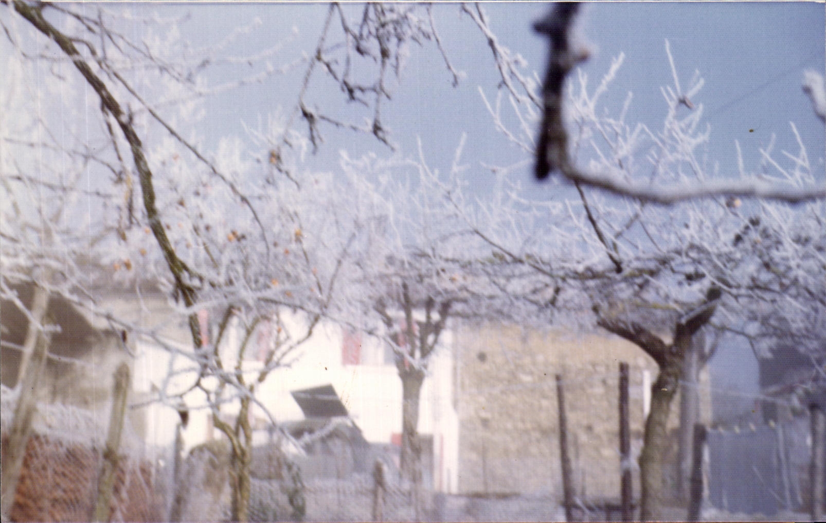 Photo Un jour de givre