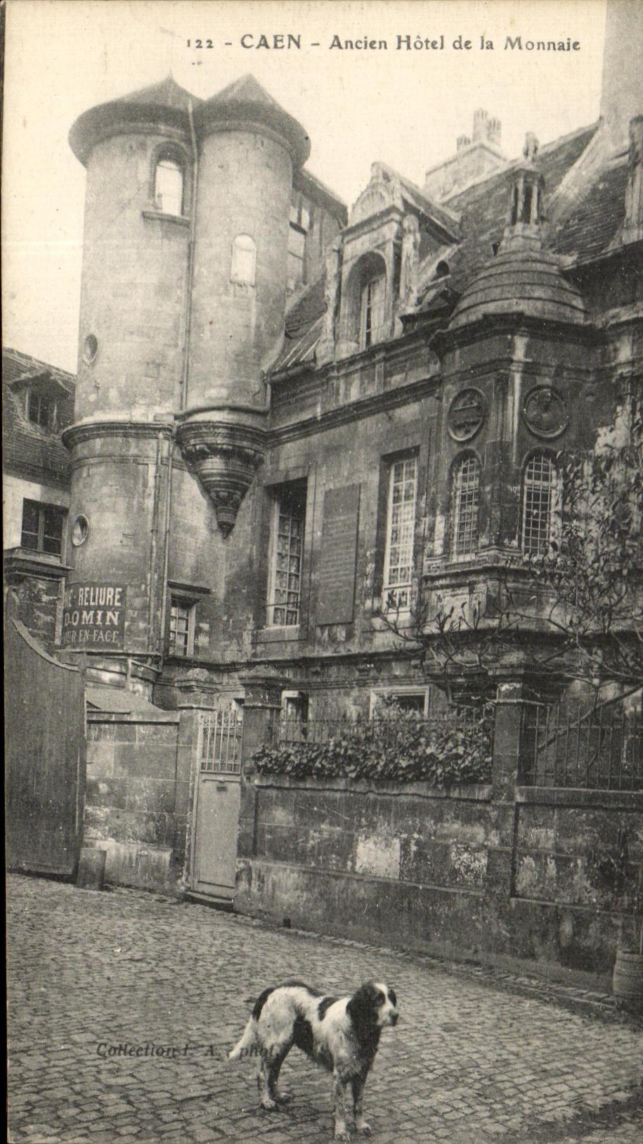 Perro Mint viejo de CPA Caen