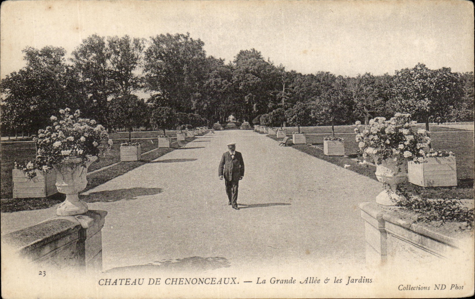 Jardines grandes de CPA Chateau De Chenonceaux Allee