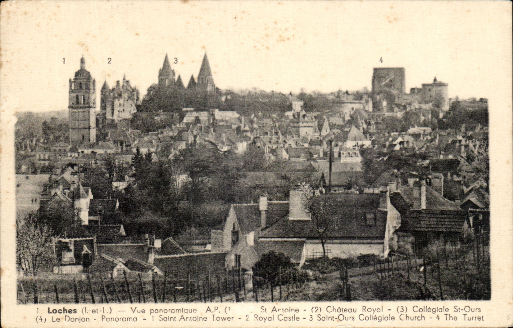 CPA Loches Vue panoramique