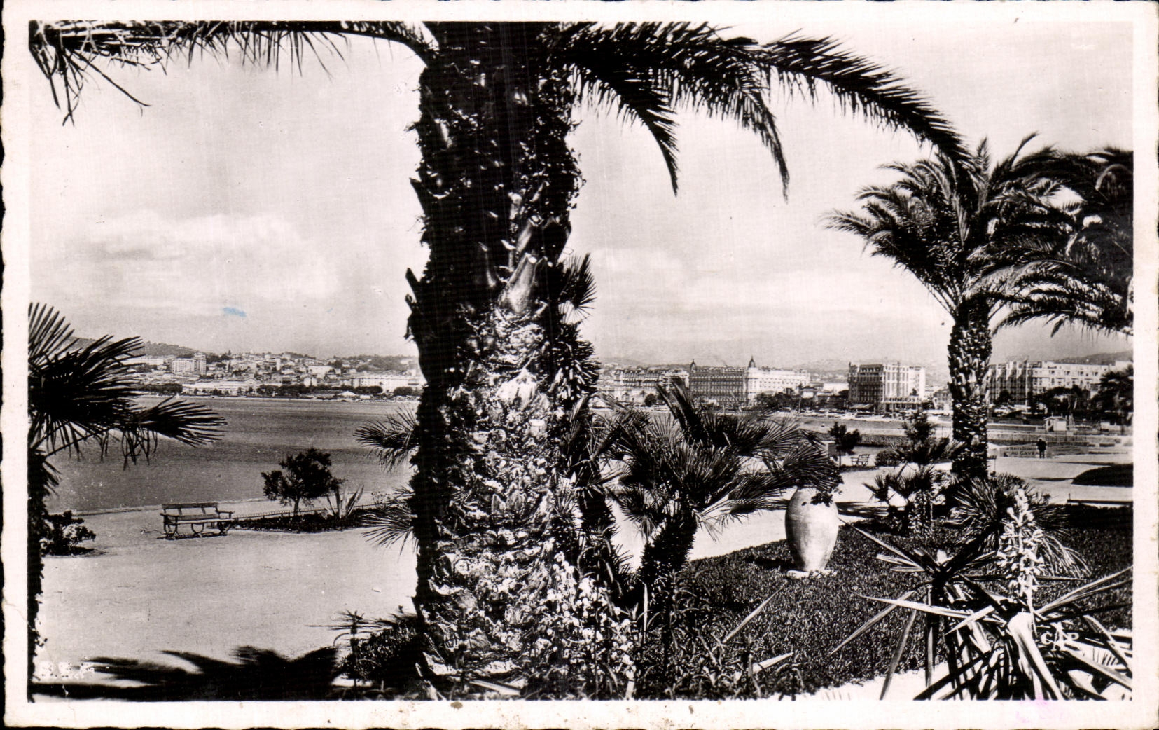 CPA Cannes Seen from Of the New Gardens Of the Small cross
