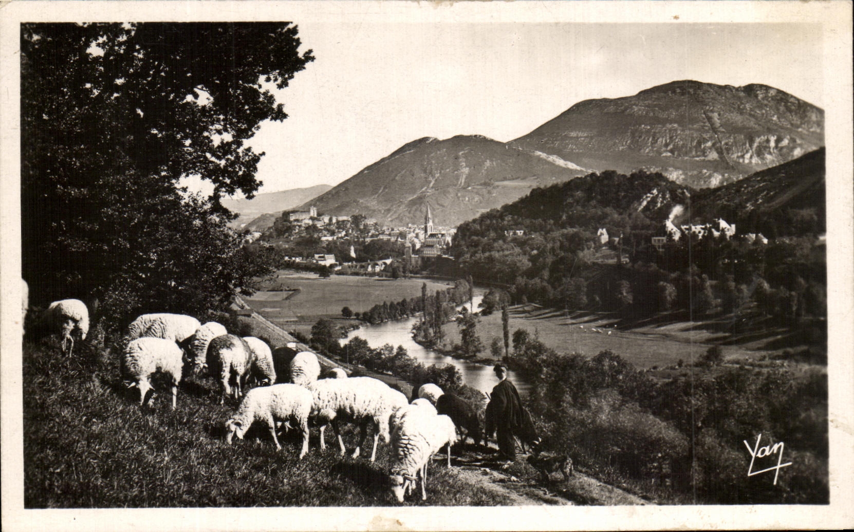 CPA Lourdes La Vallee et le Pic du Jer Moutons 