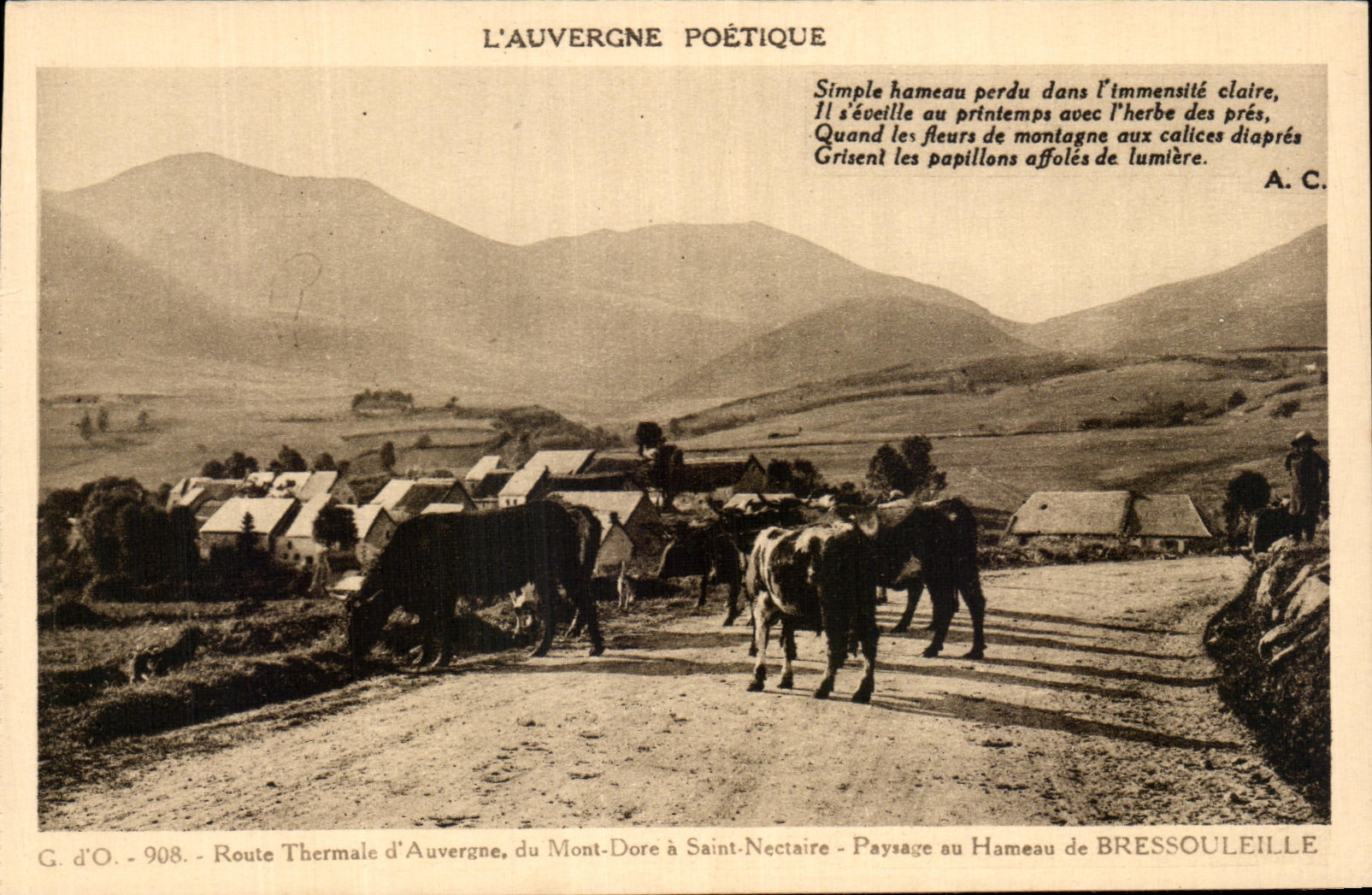 CPA Auvergne Poetique Thermal Road of Auvergne of the Mount Gilds has Saint Nectary Landscape with the Hamlet of Bressouleille Vache