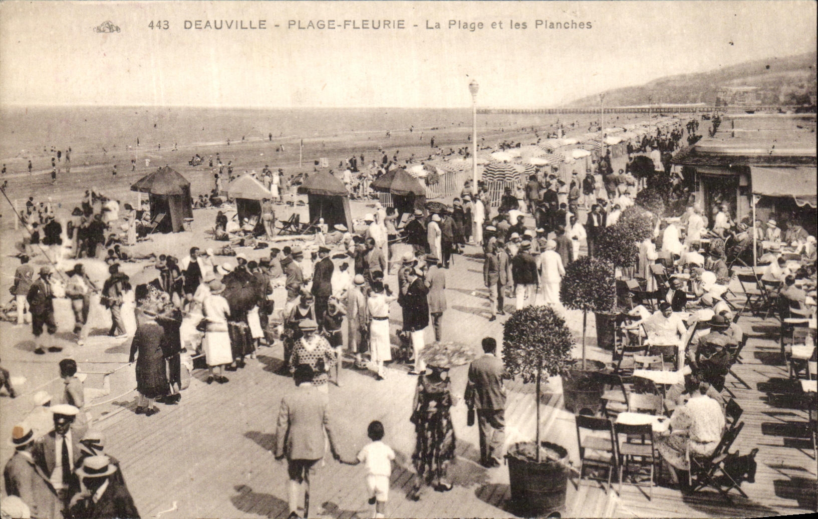 CPA Deauville Flowered Beach the Beach and Boards