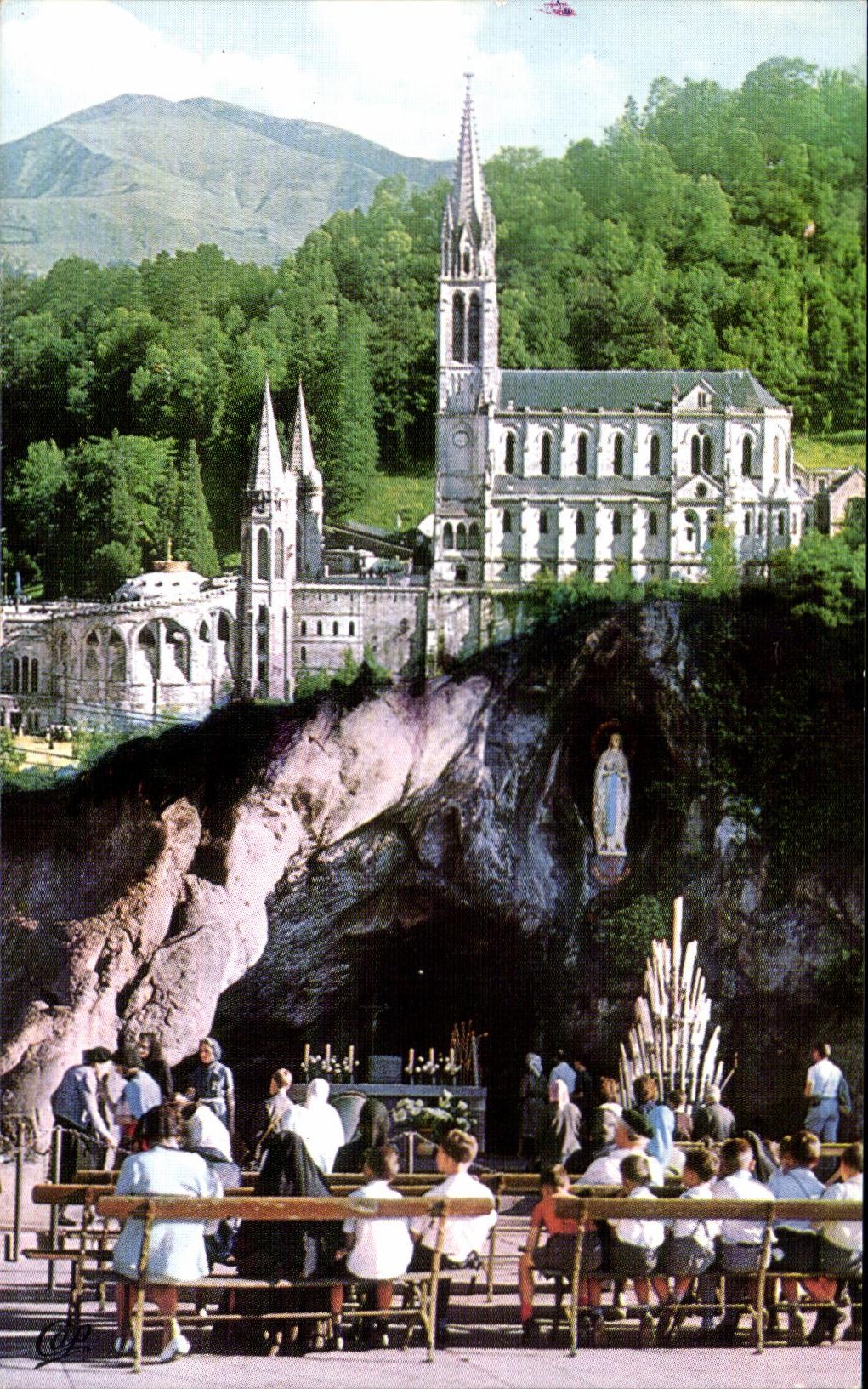 CPSM Lourdes the Basilica the Cave