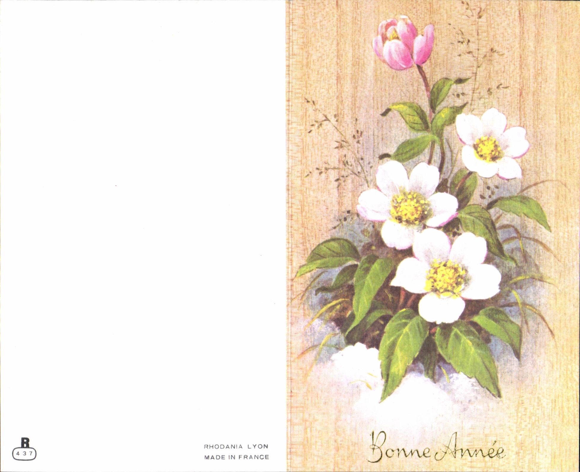 Flores de la fantasia de CPSM