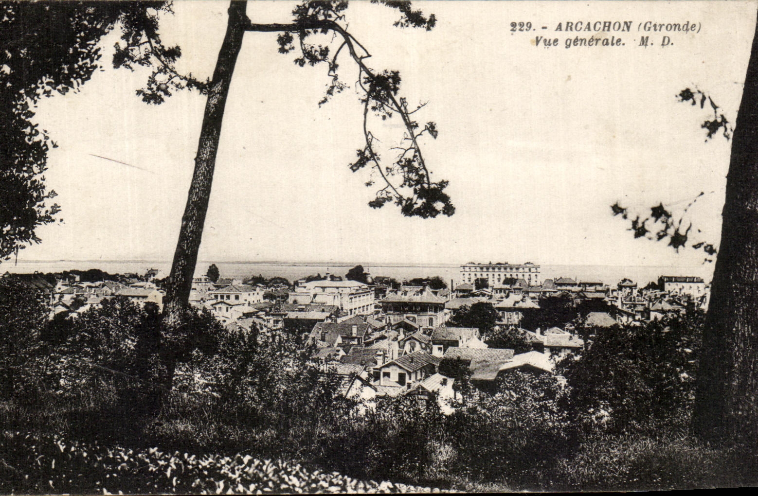 CPA Arcachon Vue generale