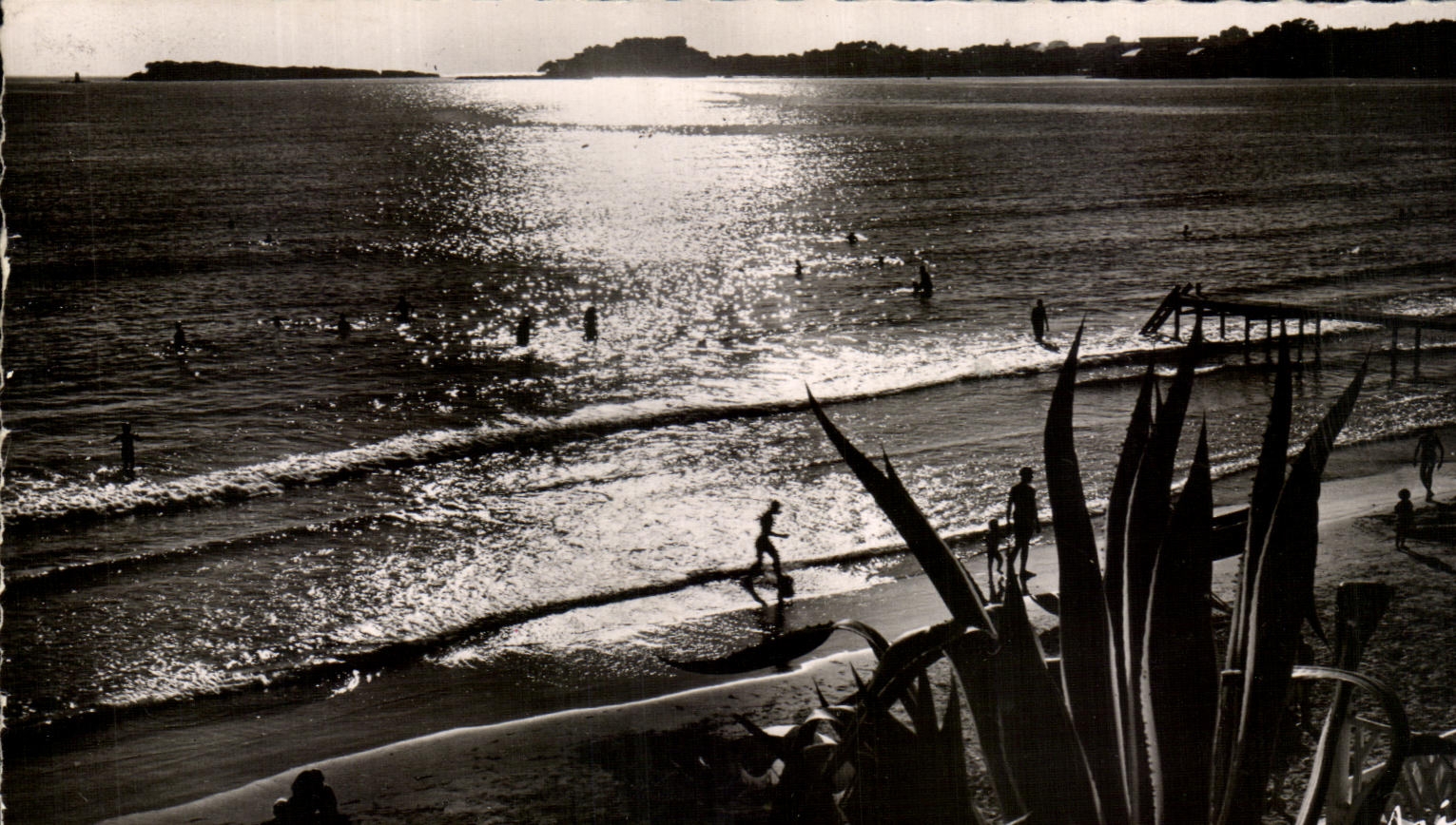 CPA Dimensions Azure Bandol Plage of the Lido in the twilight