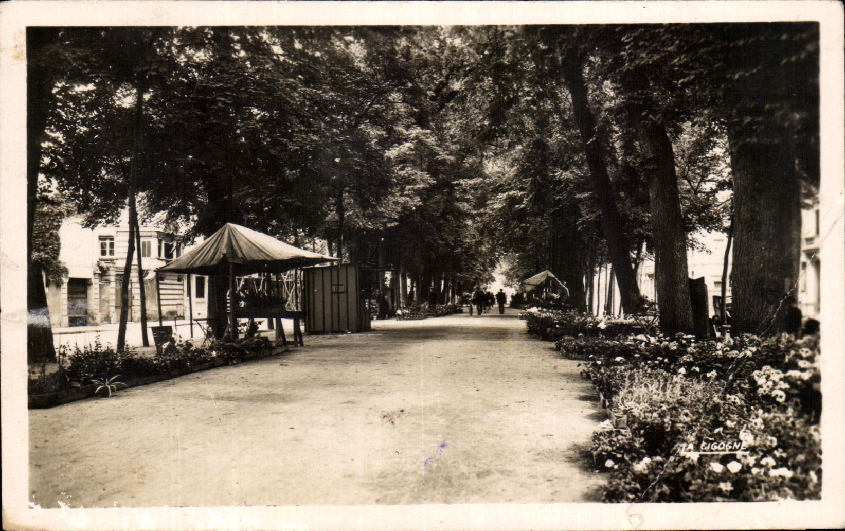 CPA Tours Boulevard Beranger Le Marche aux fleurs