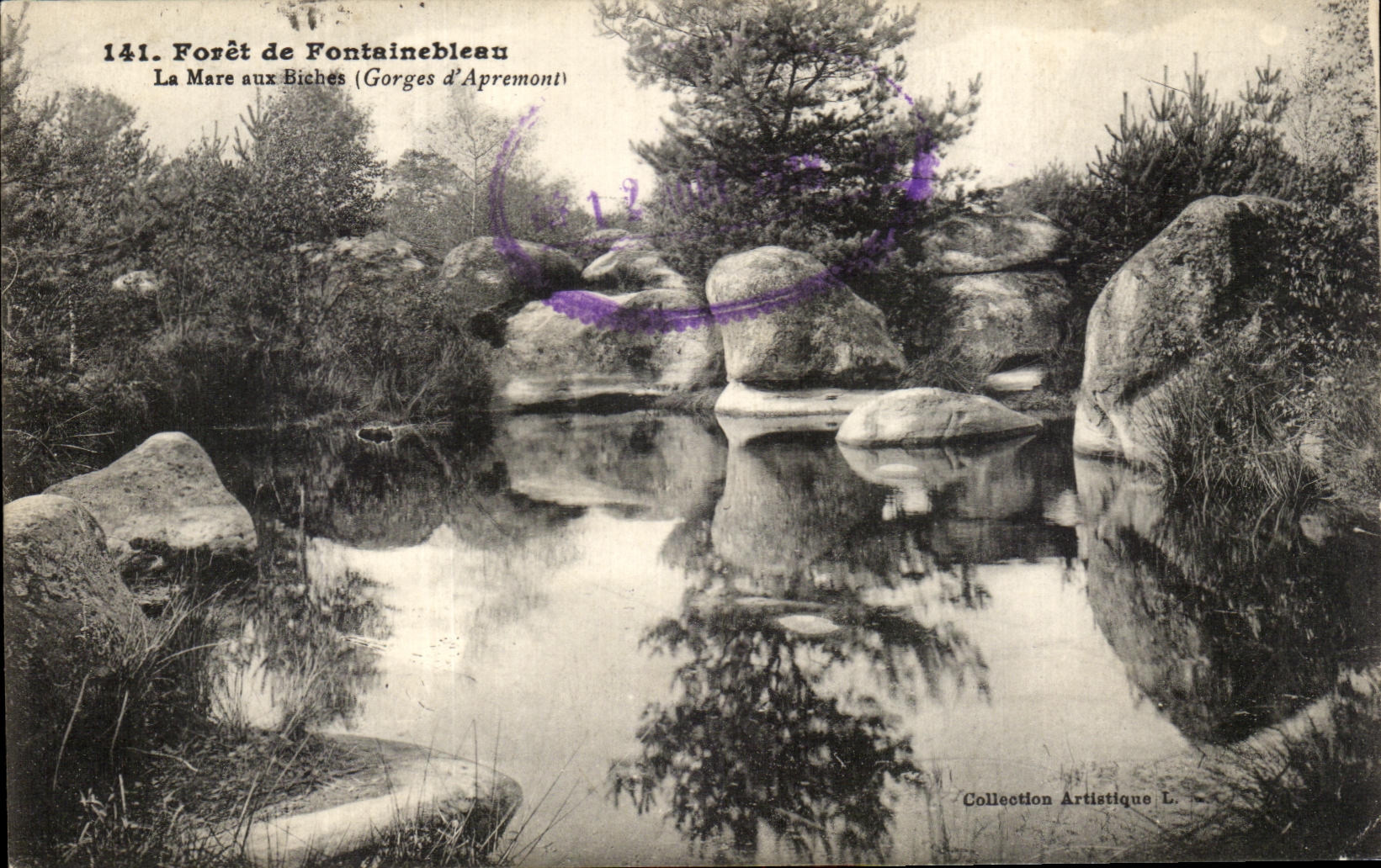 CPA Foret De Fontainbleau the Pond With the Hinds