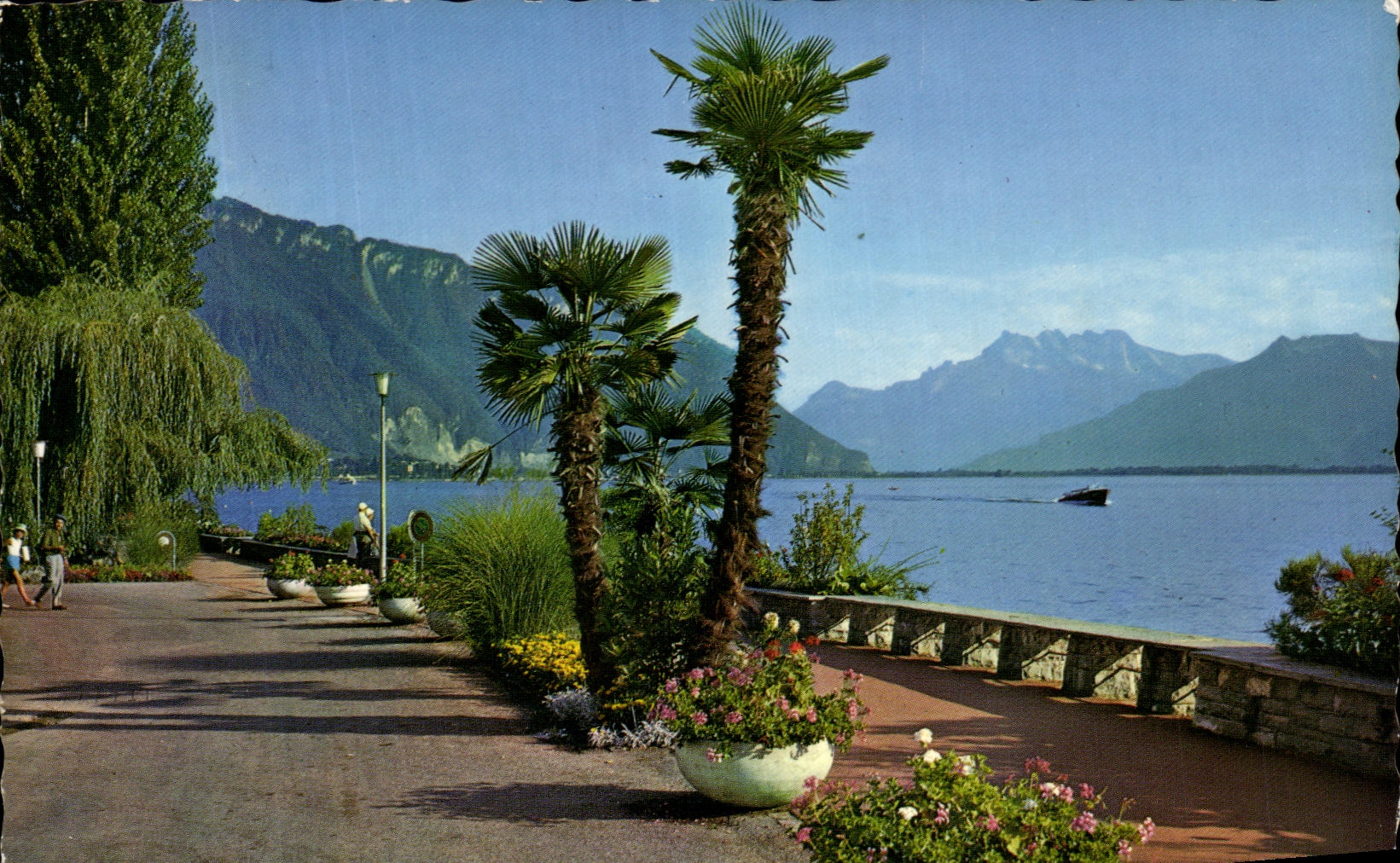 CPA Montreux Le quai et les Dents du Midi