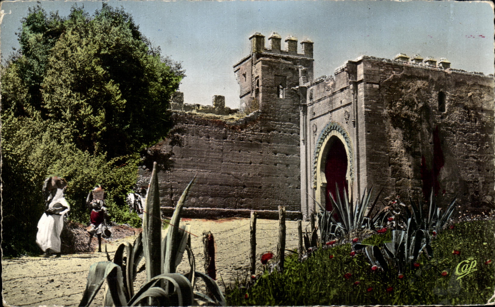 CPSM Morocco Folds back the Gate interior of Chellah