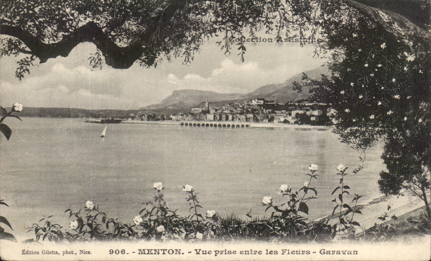 CPA Monton Seen from between the Garavan Flowers