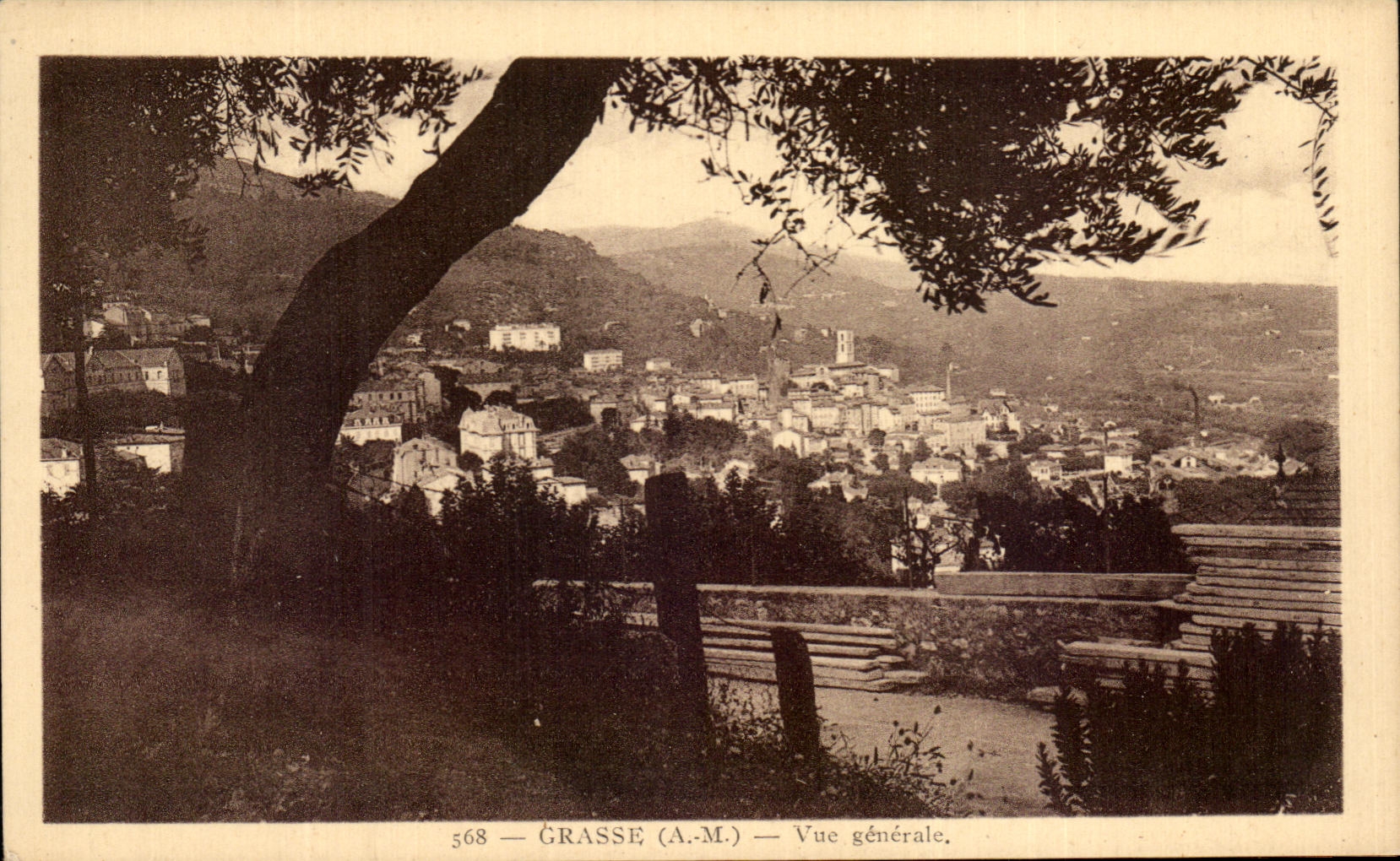 Opinion grasa de CPA