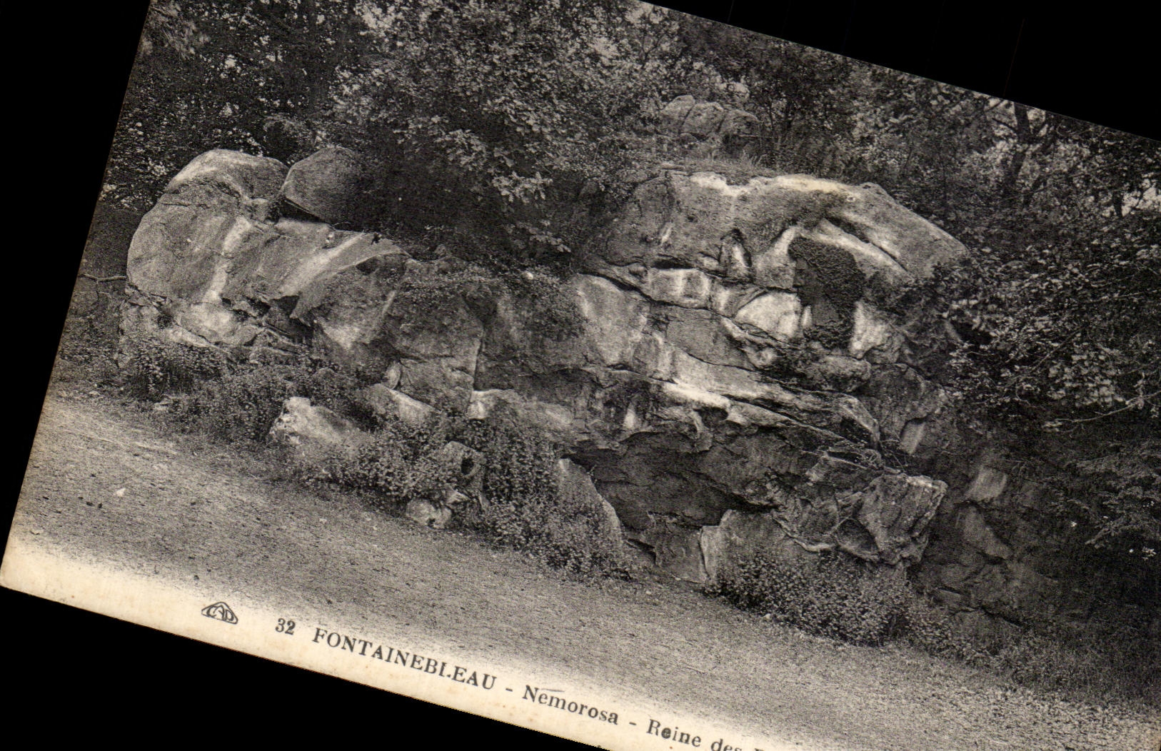 CPA Fontainebleau Nemorosa Queen of wood