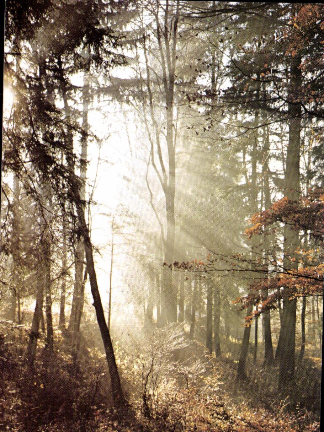 La TARJETA MODERNA perfora adentro Belgica