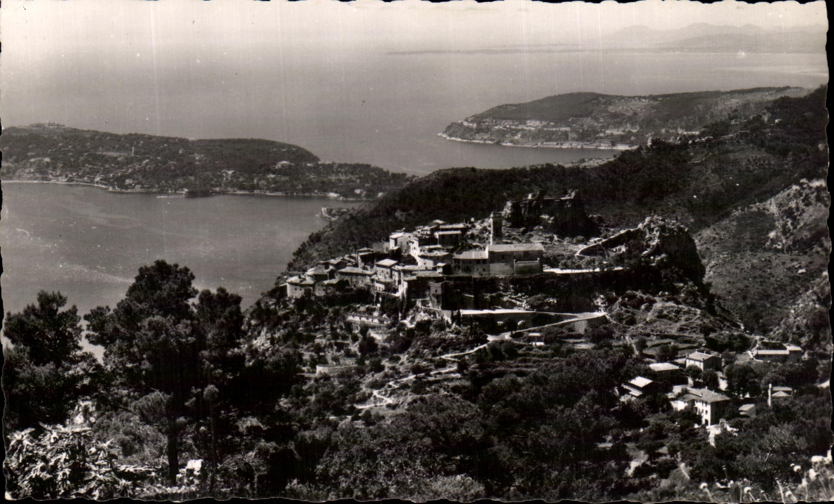 CPA Eze la opinion de la aguilera la etiqueta del cabo