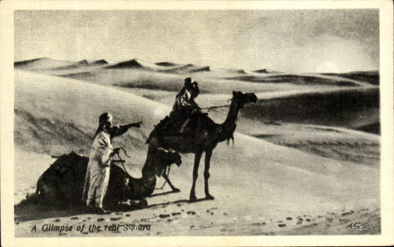 CPA A Gllmpse Of The Real Sahara Chameau Egypte