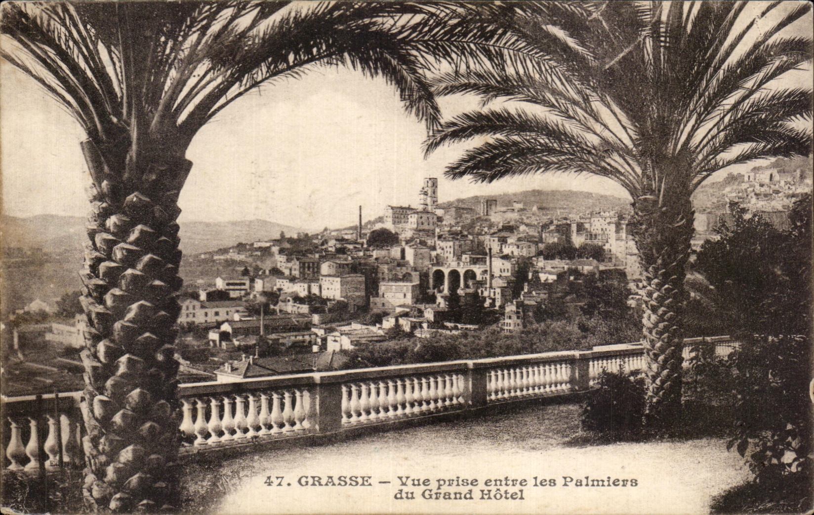 CPA graso visto entre de las palmeras del hotel grande