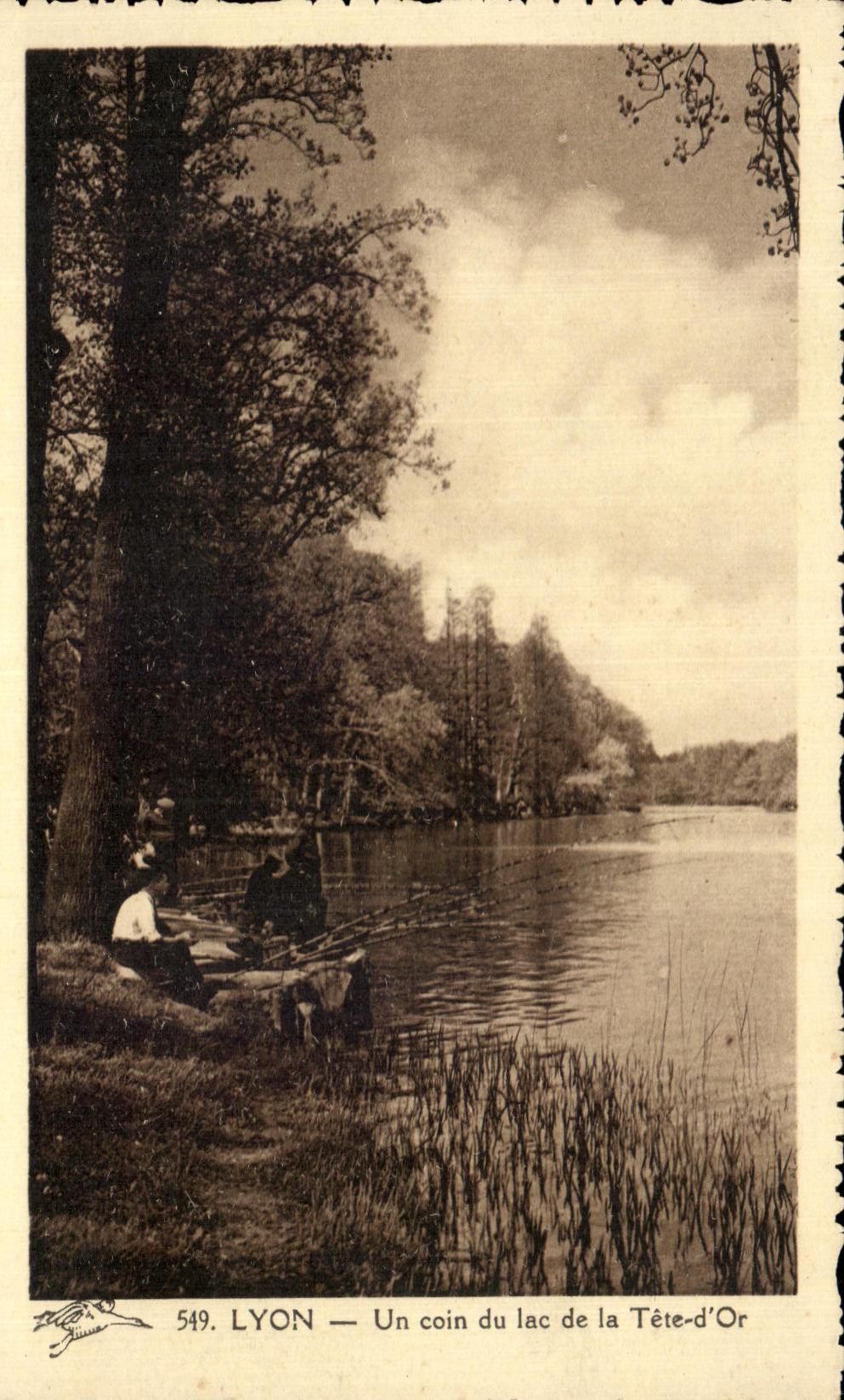 CPA Lyon a corner of the lake of the Gold Head