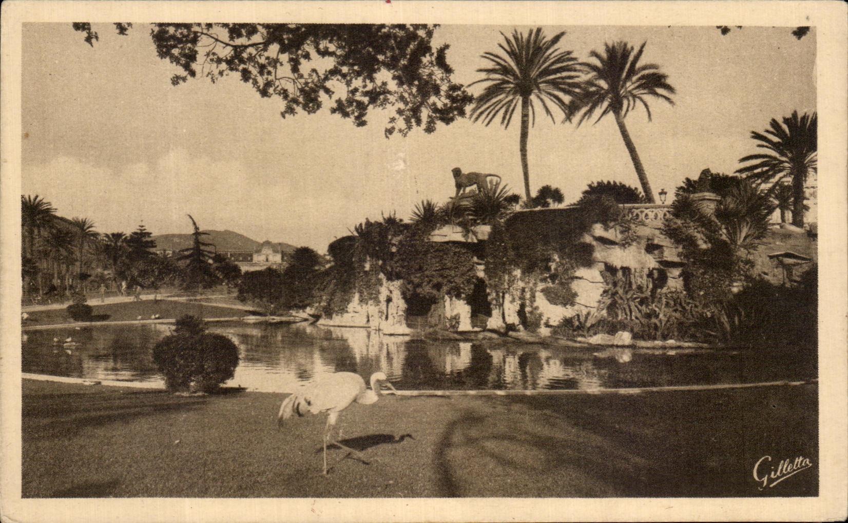 CPA Dimensions Artistic Azure Nice Jardin Albert the Cave