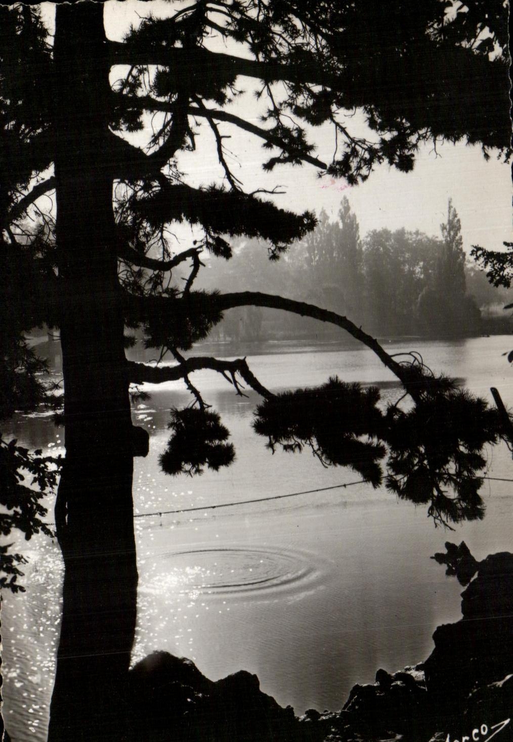 CPSM Our Pretty Lakes the Wood of Vincennes the Lake Daumesnil