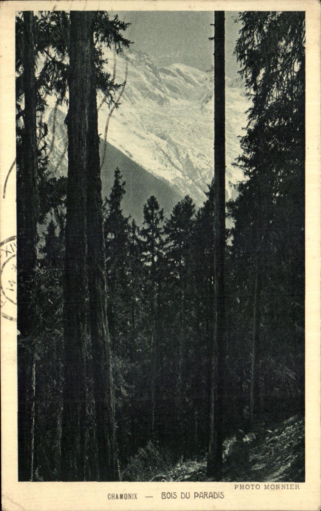 CPA Chamonix Wood Of the Paradise