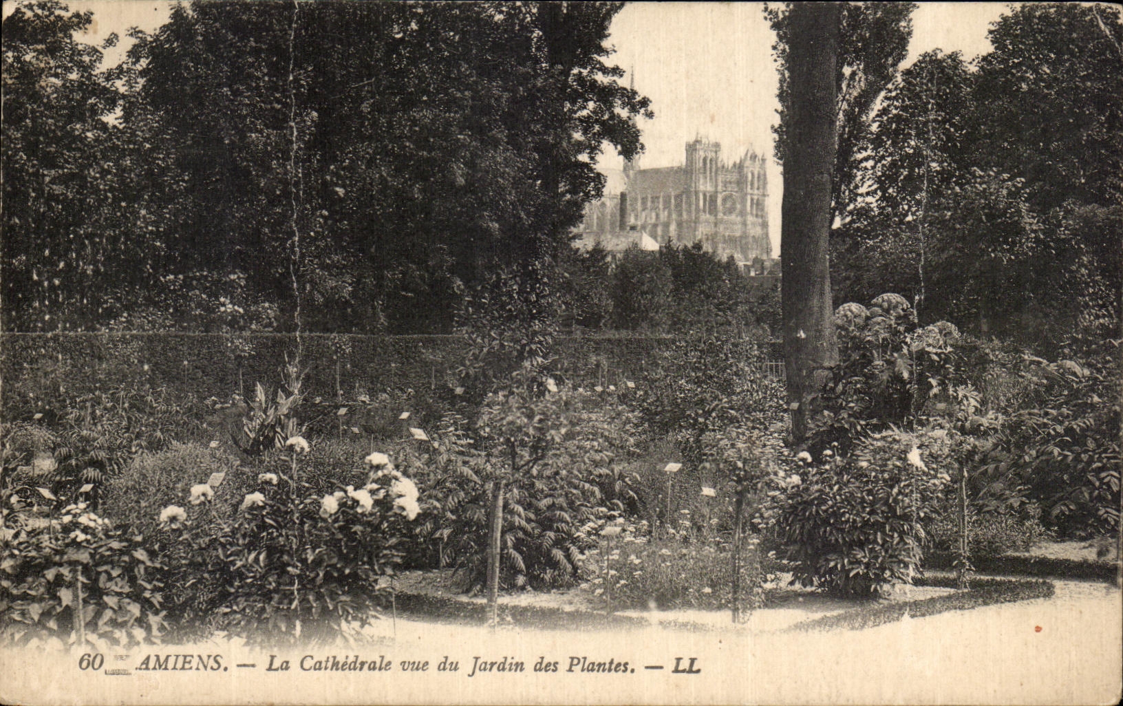 CPA Amiens the Cathedral seen of the Botanical garden